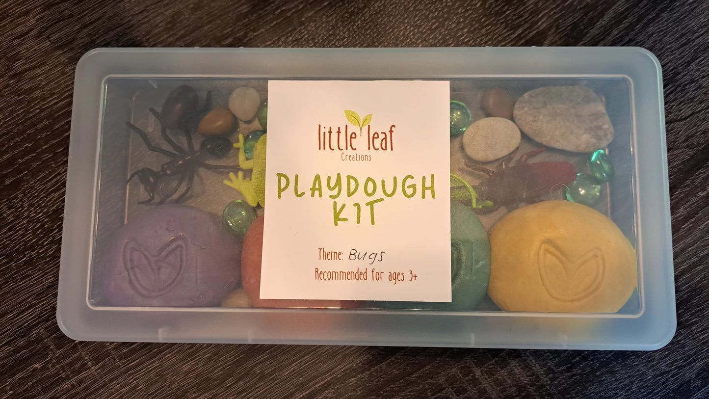 Bugs Playdough Kit