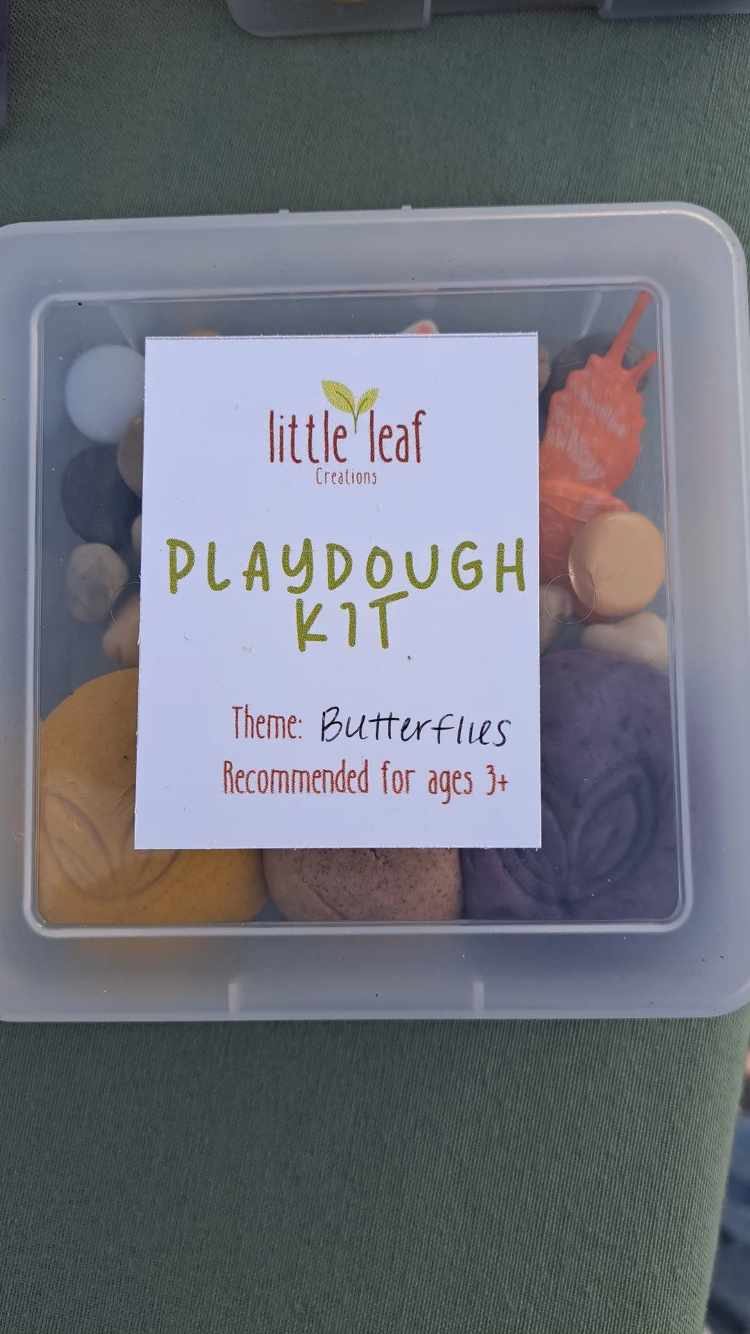 Butterfly Playdough Kit