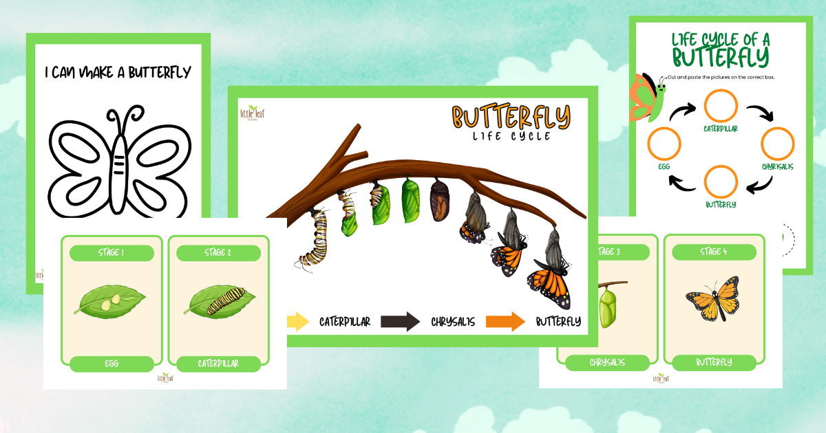 Butterfly Lifecycle Lesson